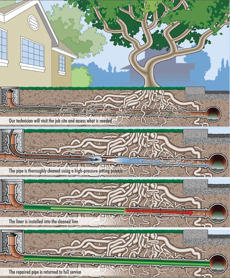 diagram-of-roots-growing-into-sewer-lines